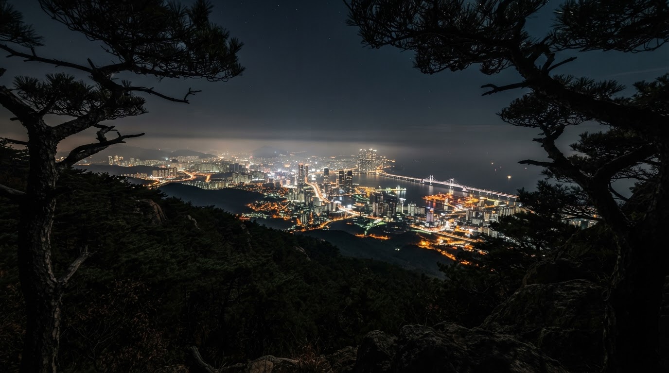 The city and harbor lights of Busan seen from the dark, forested ridge of Jangsan, black pines framing the view — where the metropolis meets the wild.