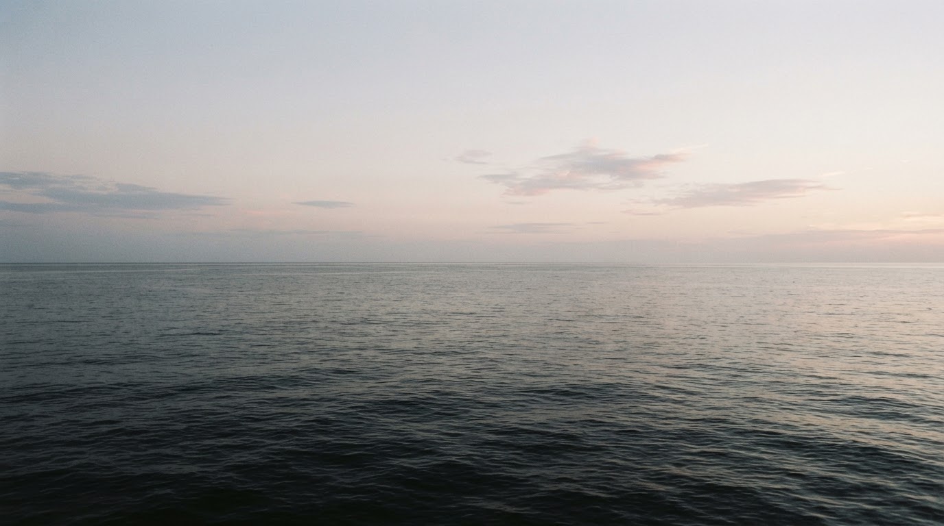 A calm sea at dawn under a soft empty sky, the horizon unbroken, no ship anywhere upon the water