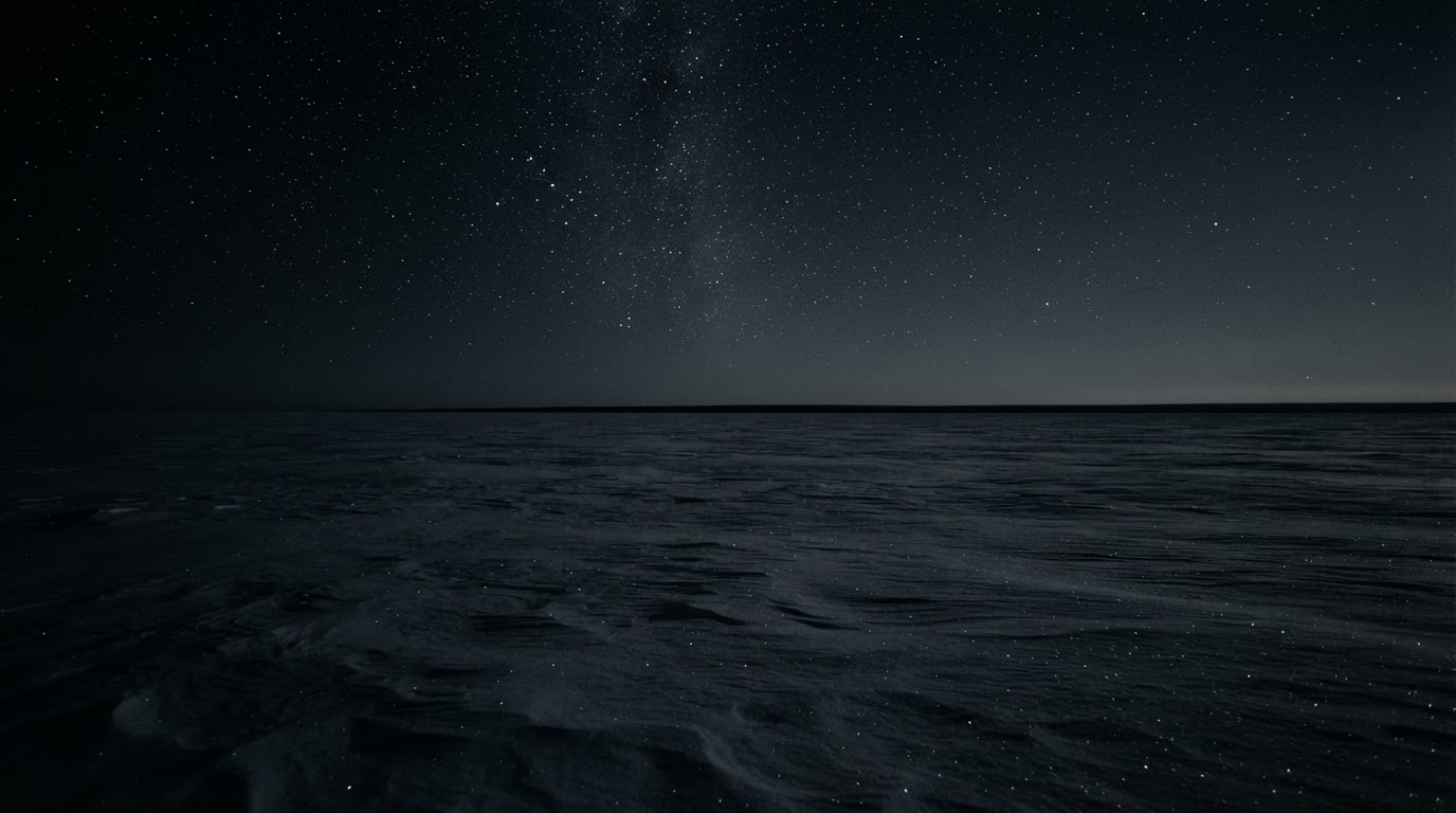 A pitch-dark tundra night with no aurora and no light, only faint starlight on the snow