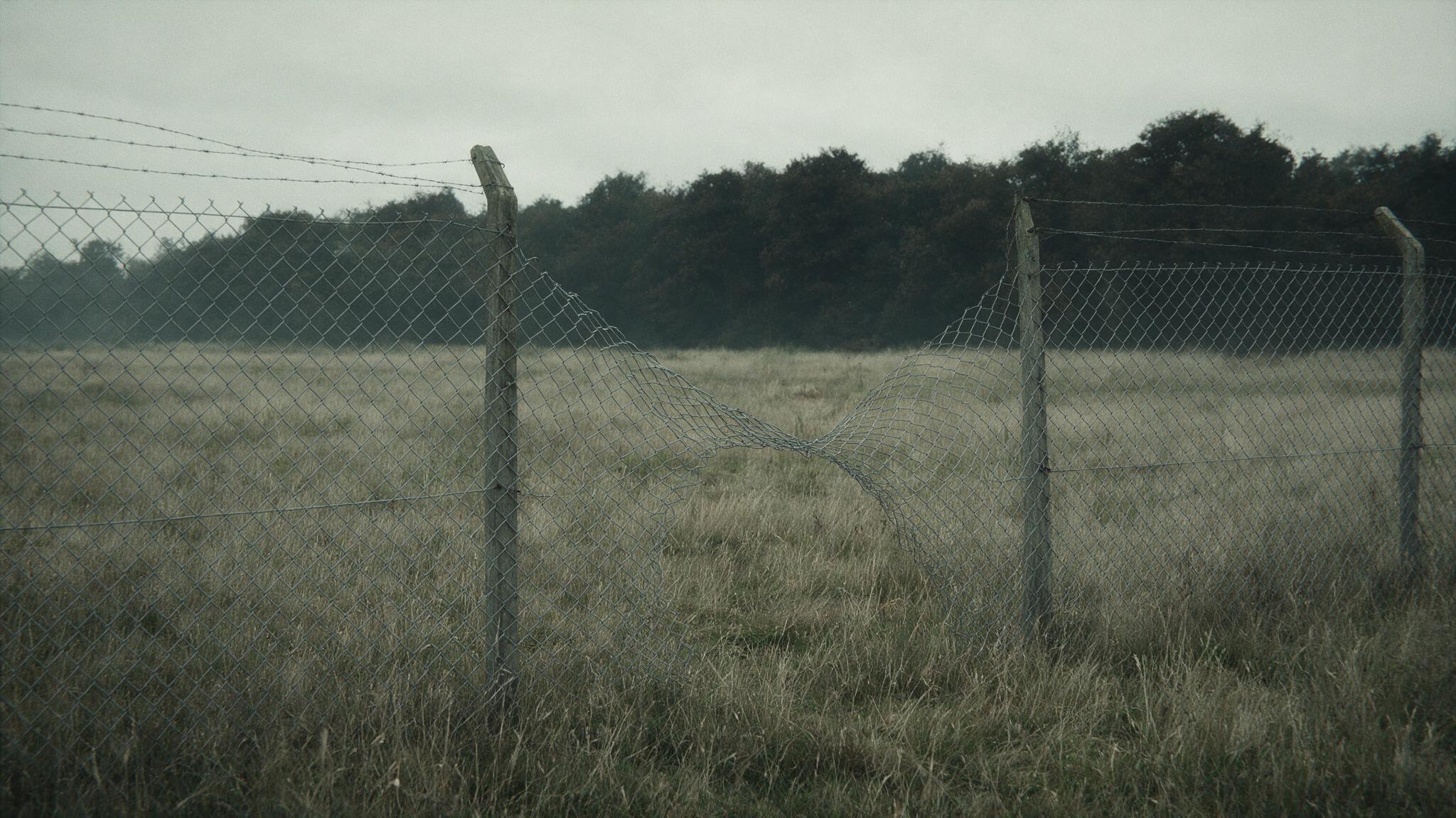 A perimeter chain-link fence at the edge of an airfield, an open meadow and a dark tree line beyond, no people, photorealistic