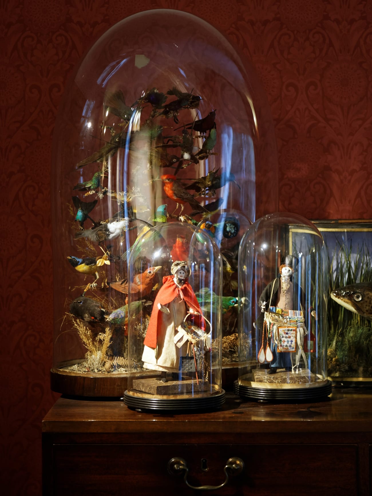 Antique dolls kept behind glass display domes — the way the legendary doll is said to be housed. (Acabashi / CC BY-SA 4.0)