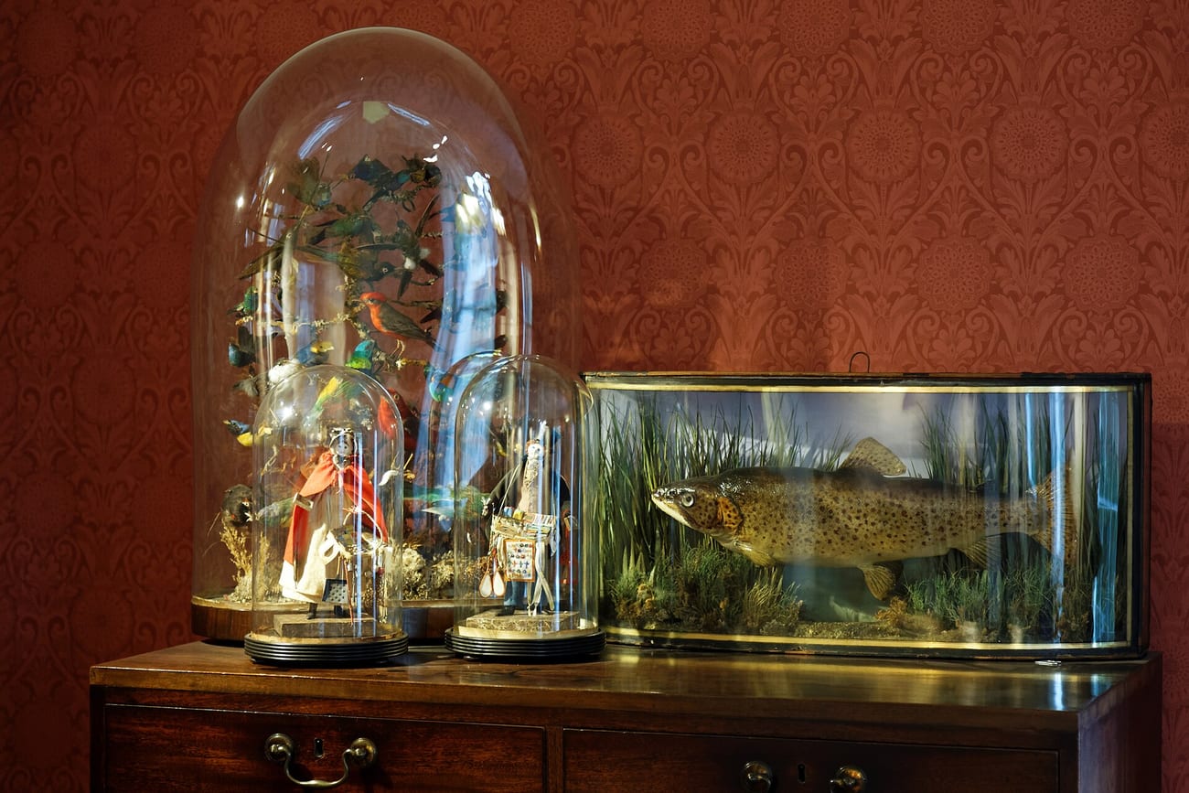 A Victorian glass display case holding dolls and old curios. (Acabashi / CC BY-SA 4.0)