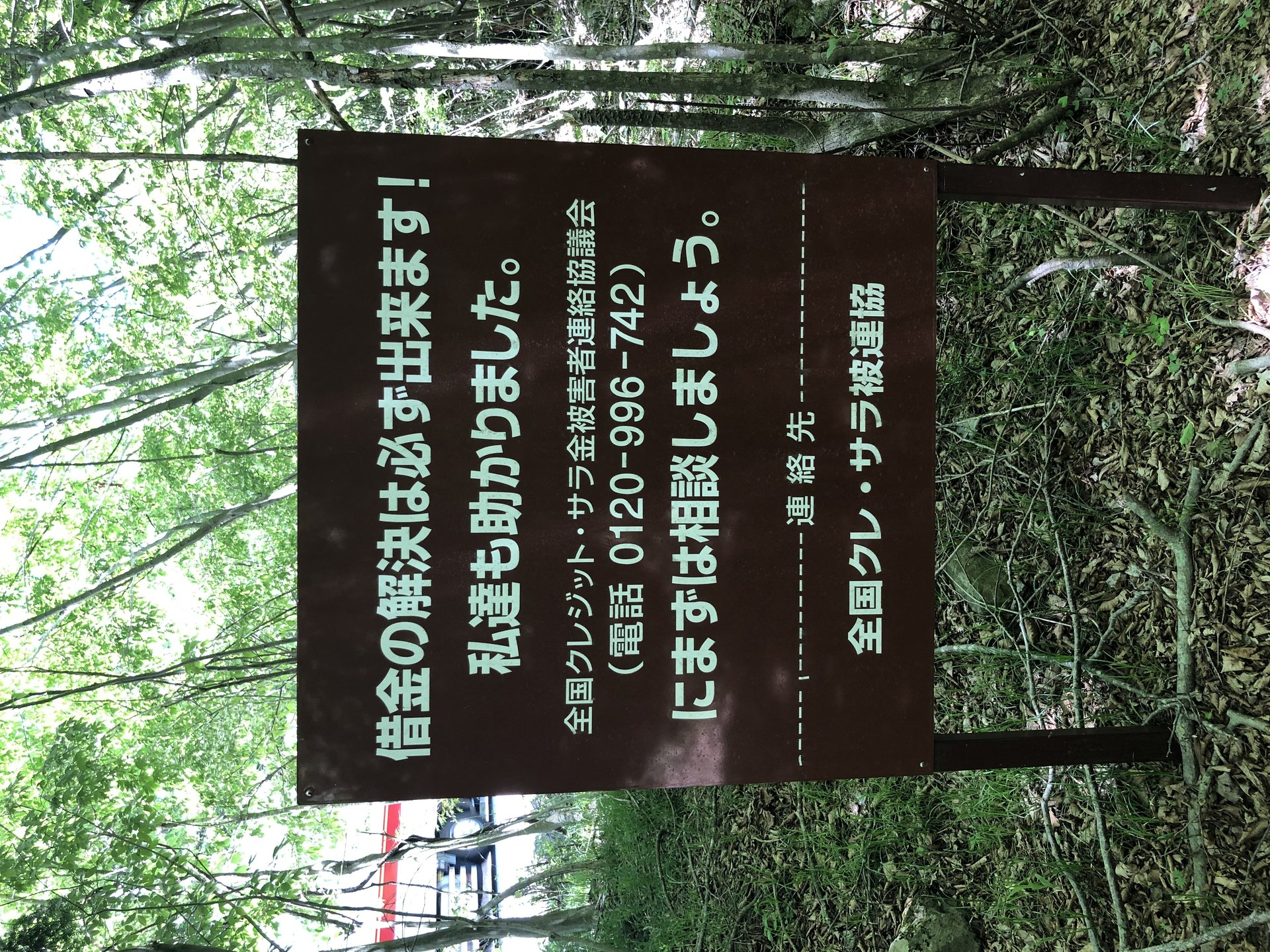 Another sign, deeper in the woods: "Debt problems can always be solved. We were helped too. Don't struggle alone — talk to someone first." It was put up by a debt-counseling group.