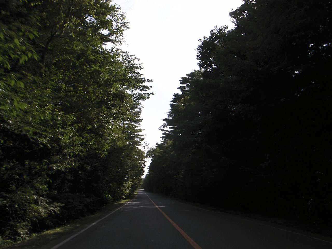 The road through the forest. Many leave their cars on the shoulder and walk in, so patrols check the vehicles that have been parked too long.