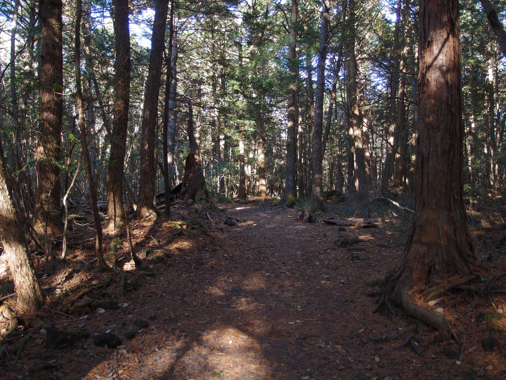 The official boardwalk trail. As long as you stay on it, this is a tourist attraction.