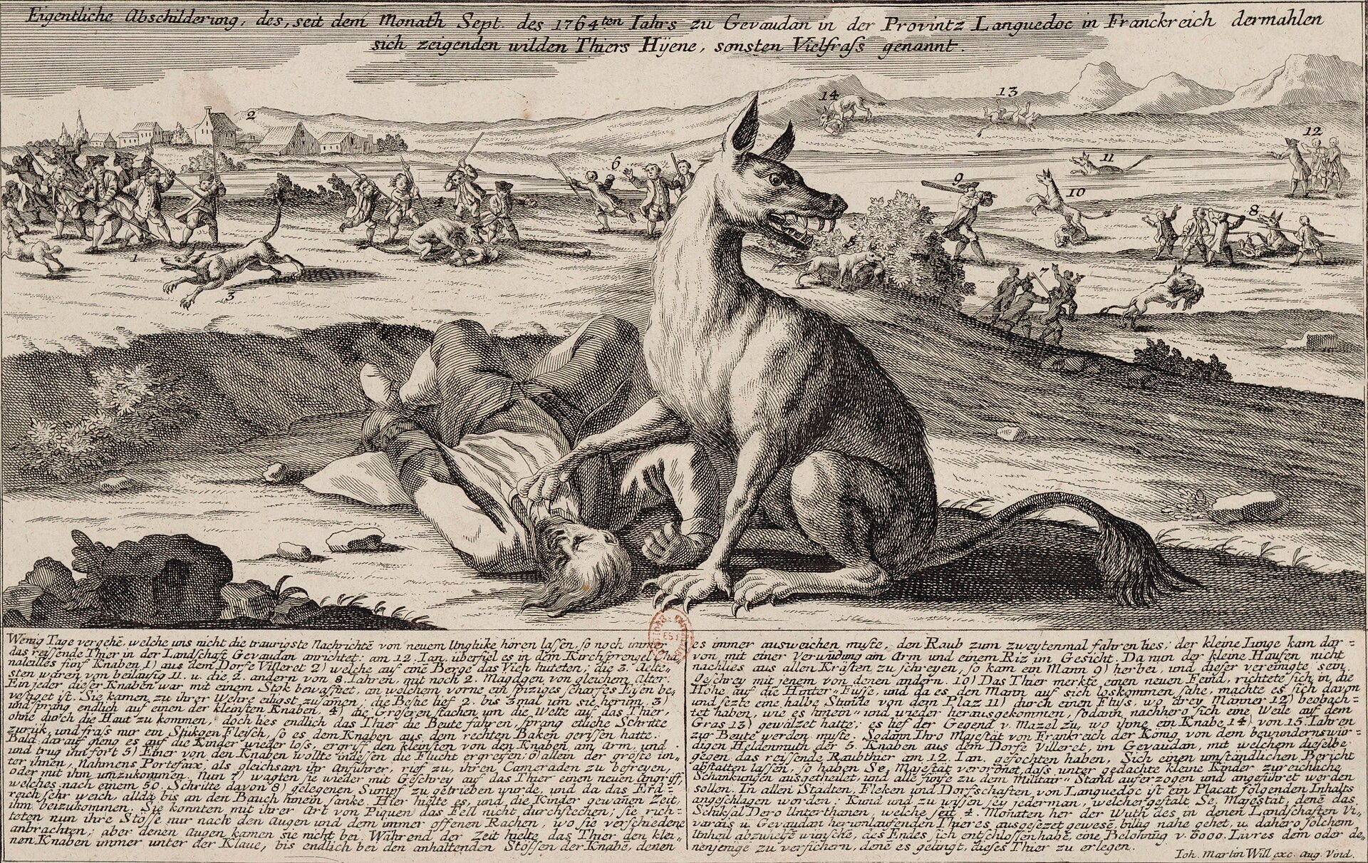Another eighteenth-century print of the Beast — this one showing the animal alone, drawn as a specimen.