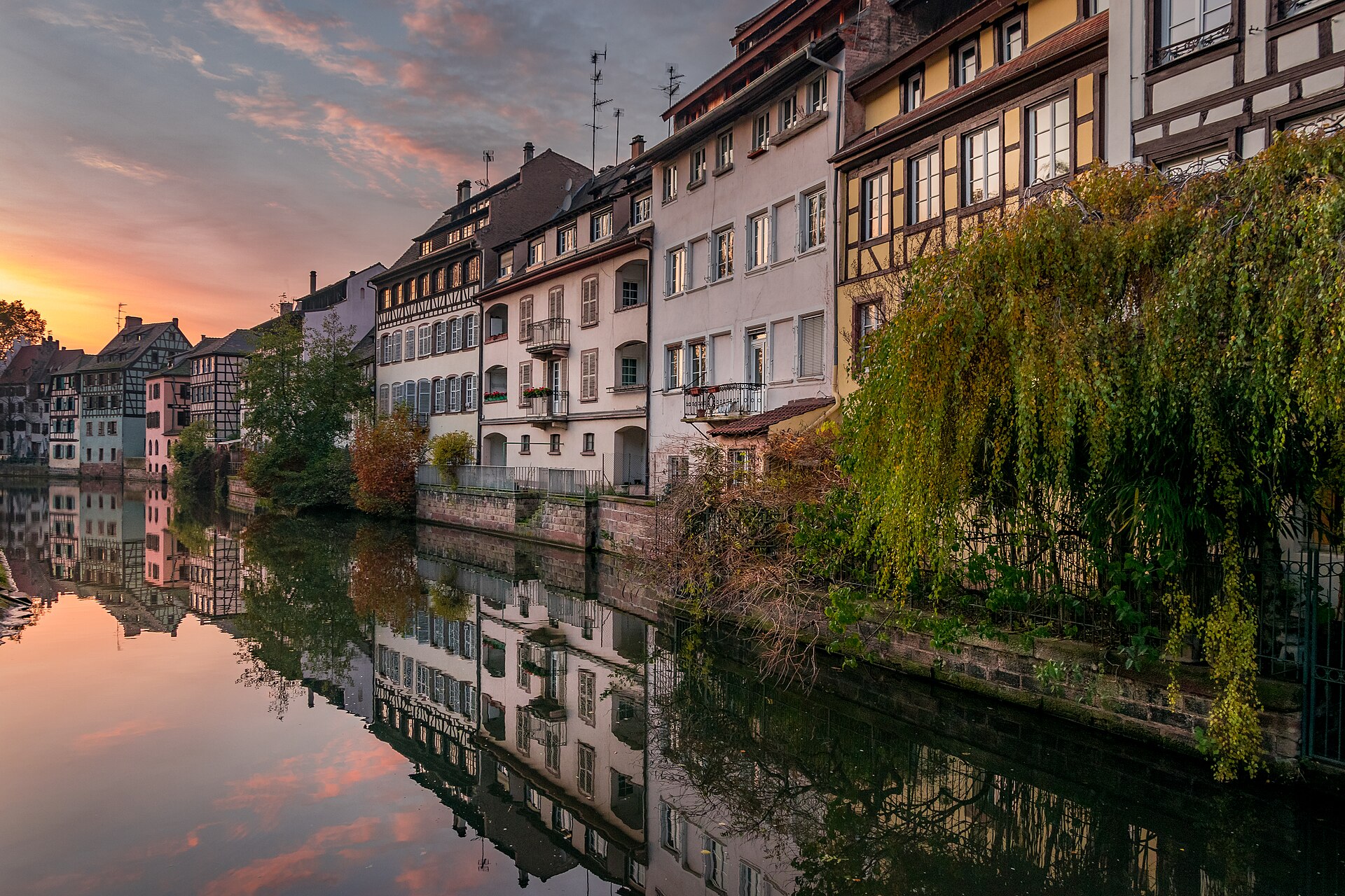 Strasbourg's Petite France quarter today — half-timbered houses reflected in the Ill canal at golden hour. This is the city where the dancing plague of 1518 unfolded, as it looks now