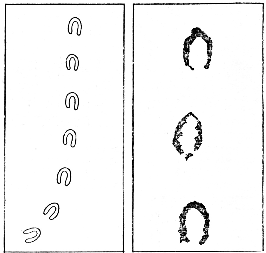 The contemporary engravings published in the Illustrated London News in 1855: at left, the single file of hoof-like prints running across the snow; at right, three detail studies of the marks themselves. The only pictorial record made at the time.