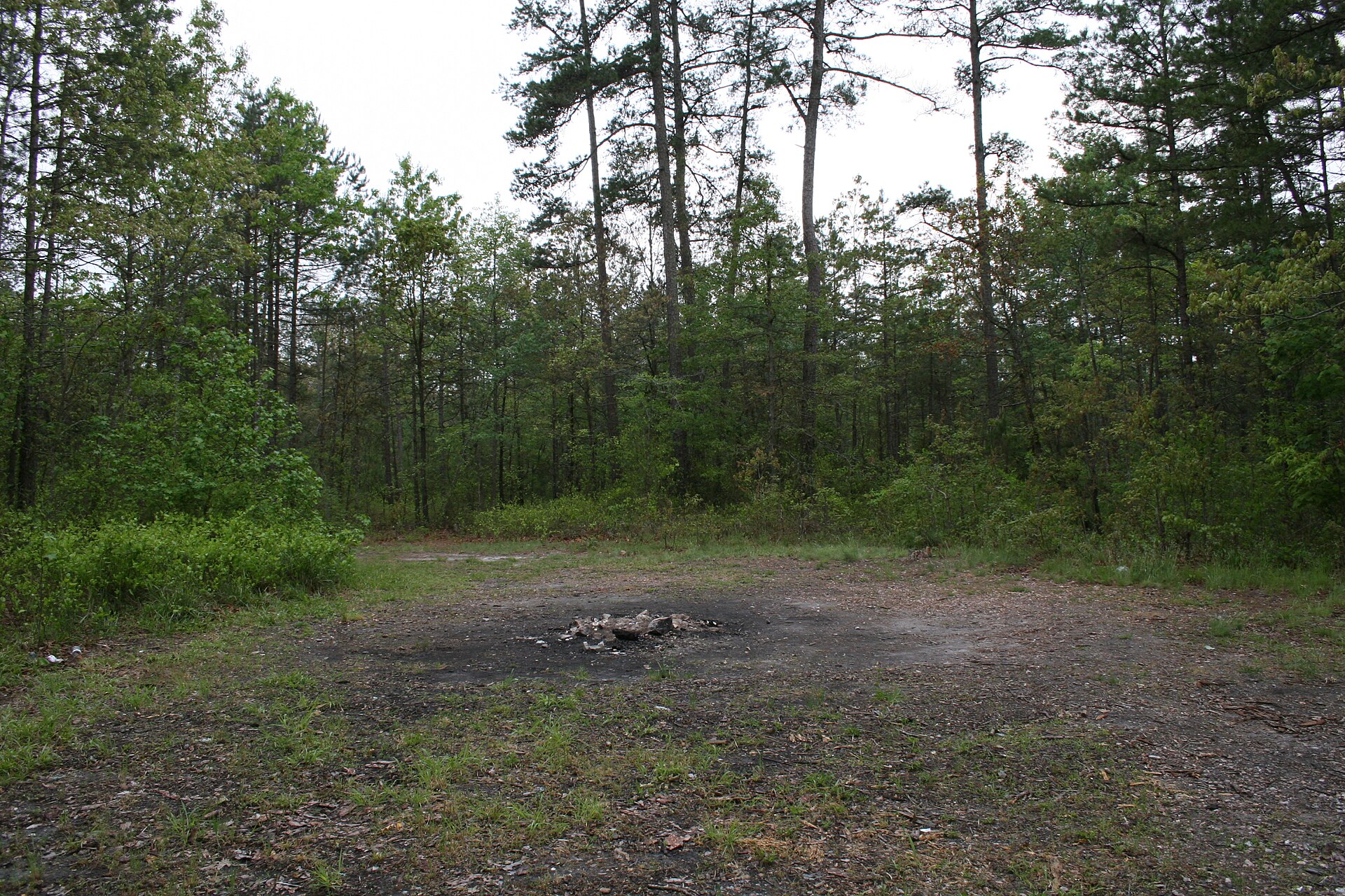 The Devil's Tramping Ground in Chatham County, North Carolina: a bare circle of packed earth roughly forty feet across, ringed by pine woods. Nothing grows inside it, and at its centre lie the scorched stones of fires left by visitors.
