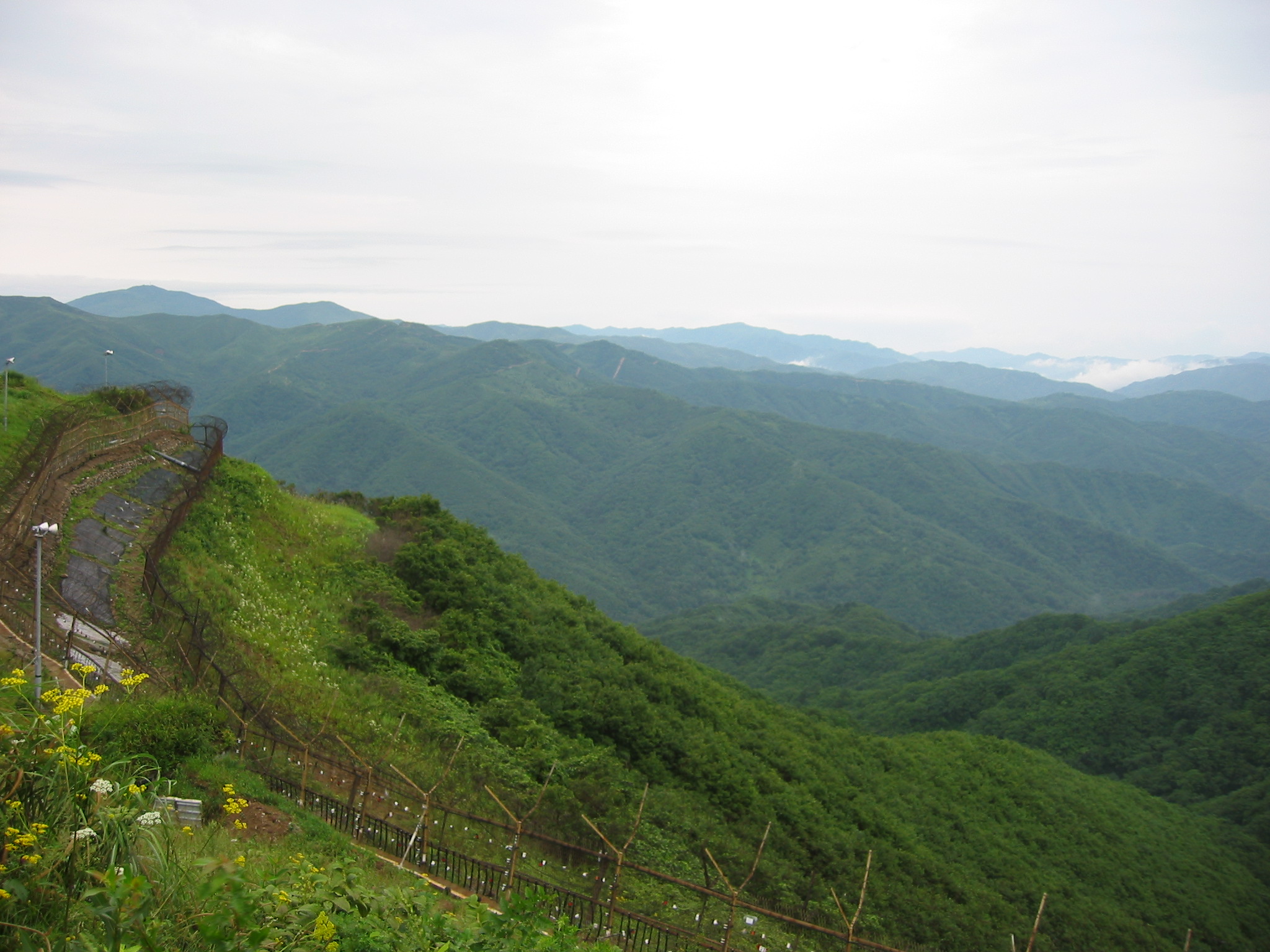 The fog-wrapped fence line — in the soil beyond this fence, tens of thousands are still there.