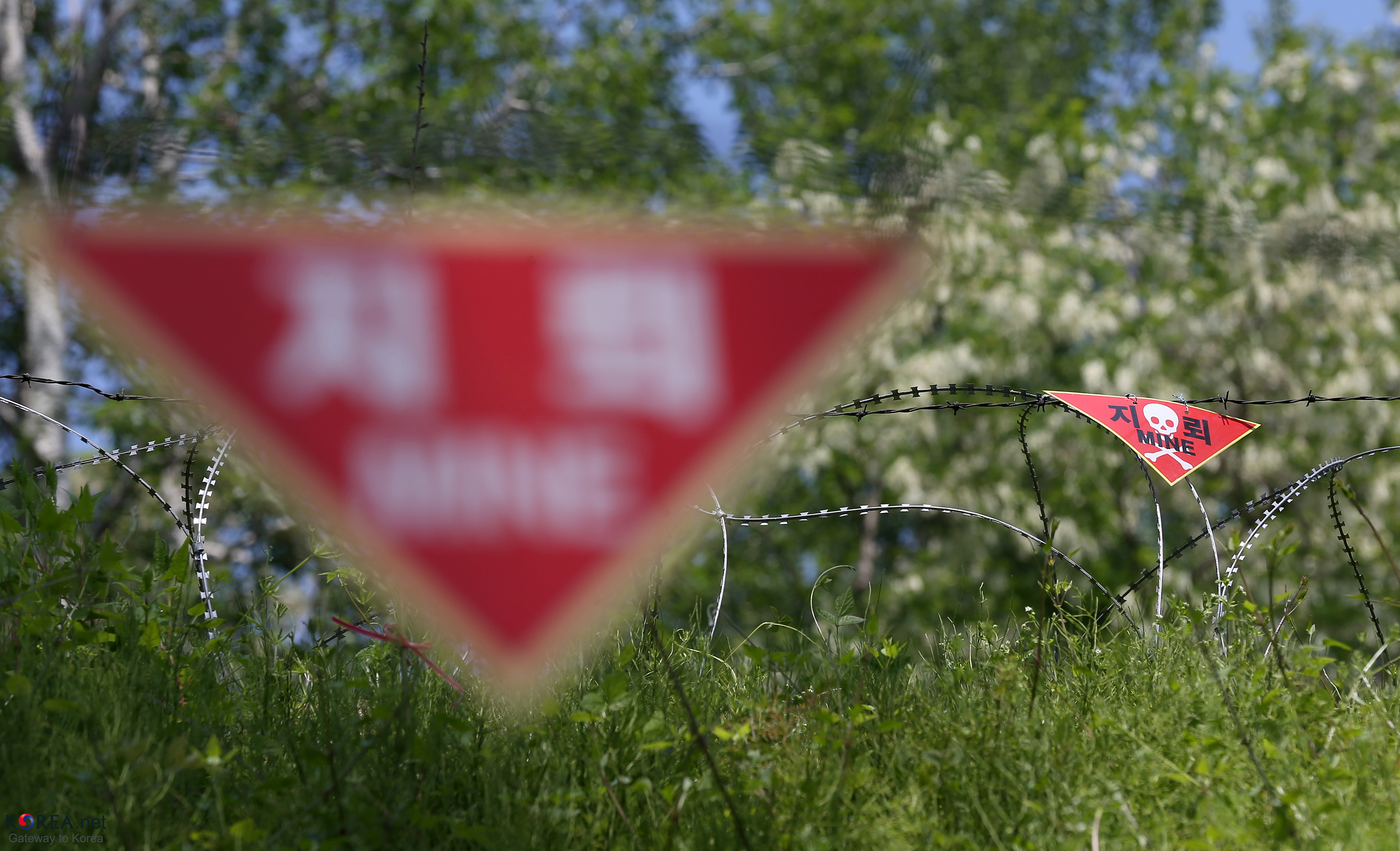 A landmine sign — behind the skull marker, no one has trodden the grass in seventy years.