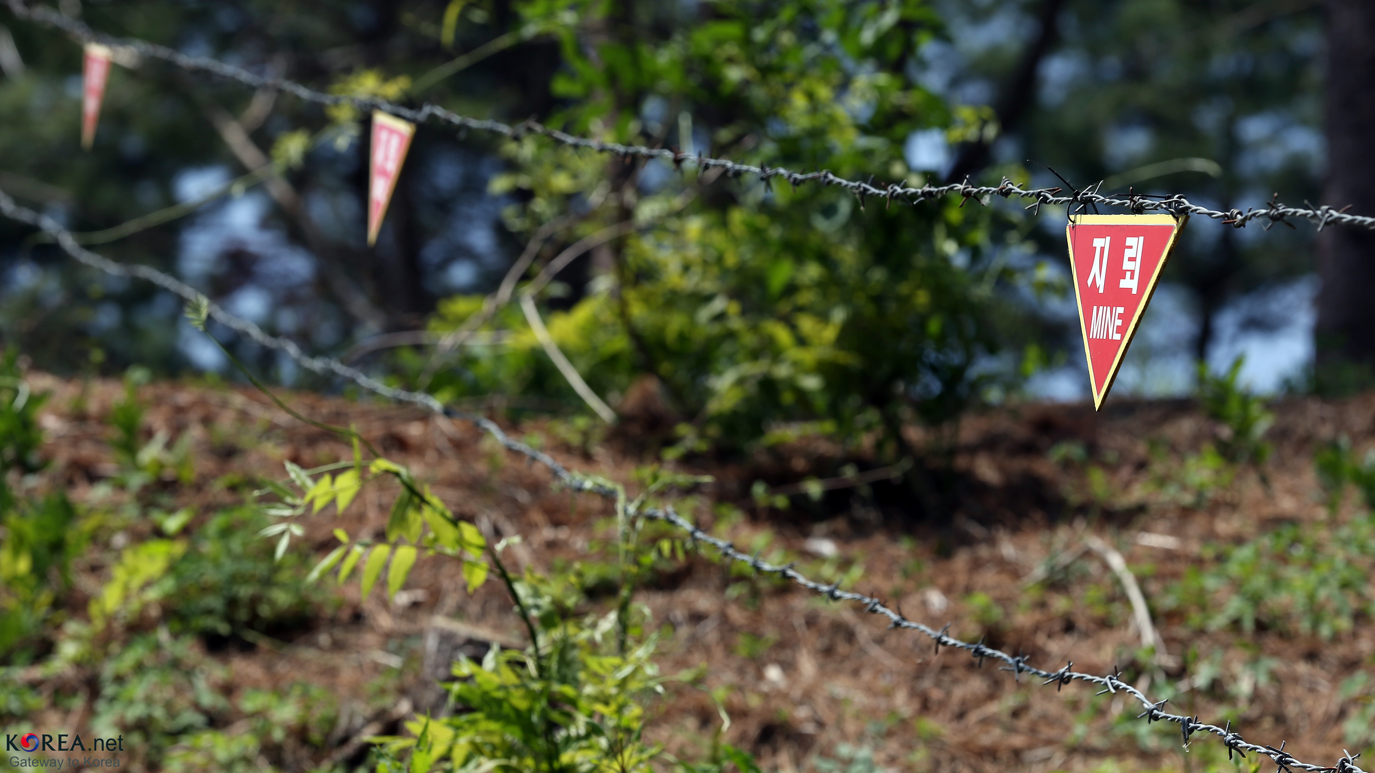 Minefield signs running down the slope — the life that crosses this line is not human.