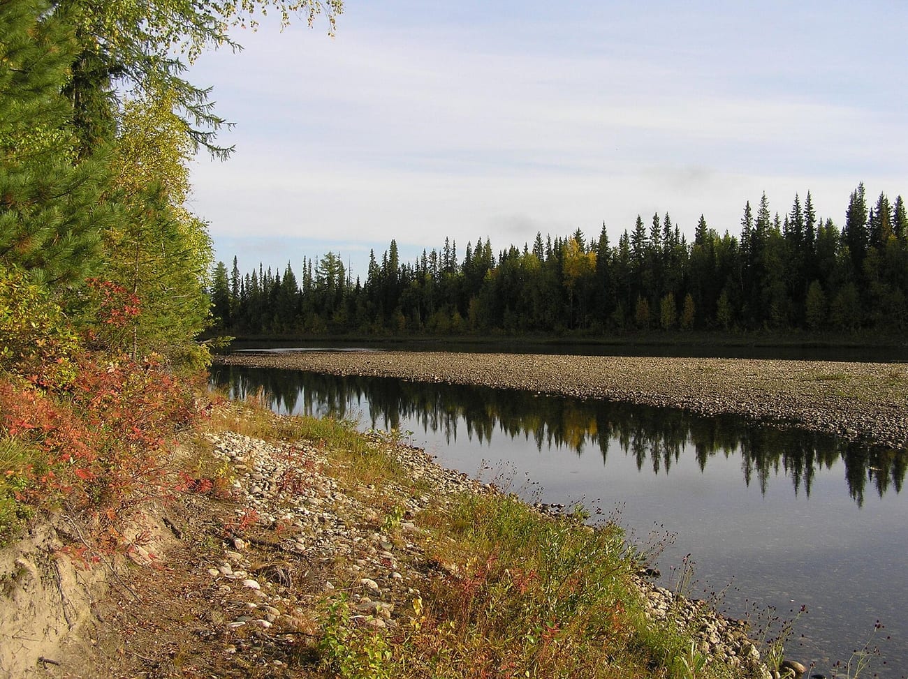 Deep forest and river in the Ural Mountains, far below where the tent had stood.
