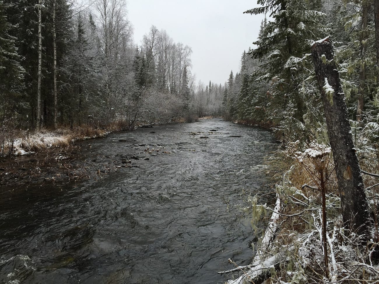 The frozen Auspiya valley near the pass, close to the group’s route toward the high country.