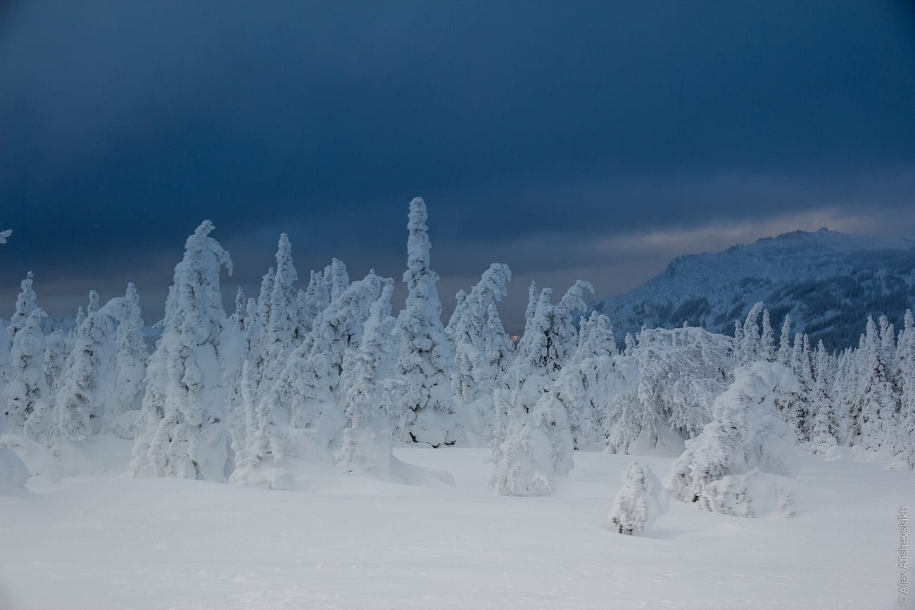 Ural winter forest under heavy snow with the mountains beyond — the high country where the group made camp.