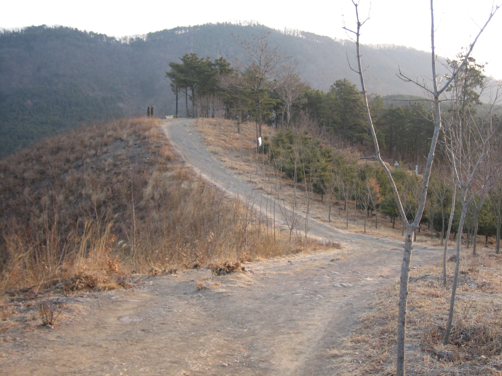 An actual ridgeline view of Mount Waryong in Daegu (Wikimedia Commons / CC BY-SA)