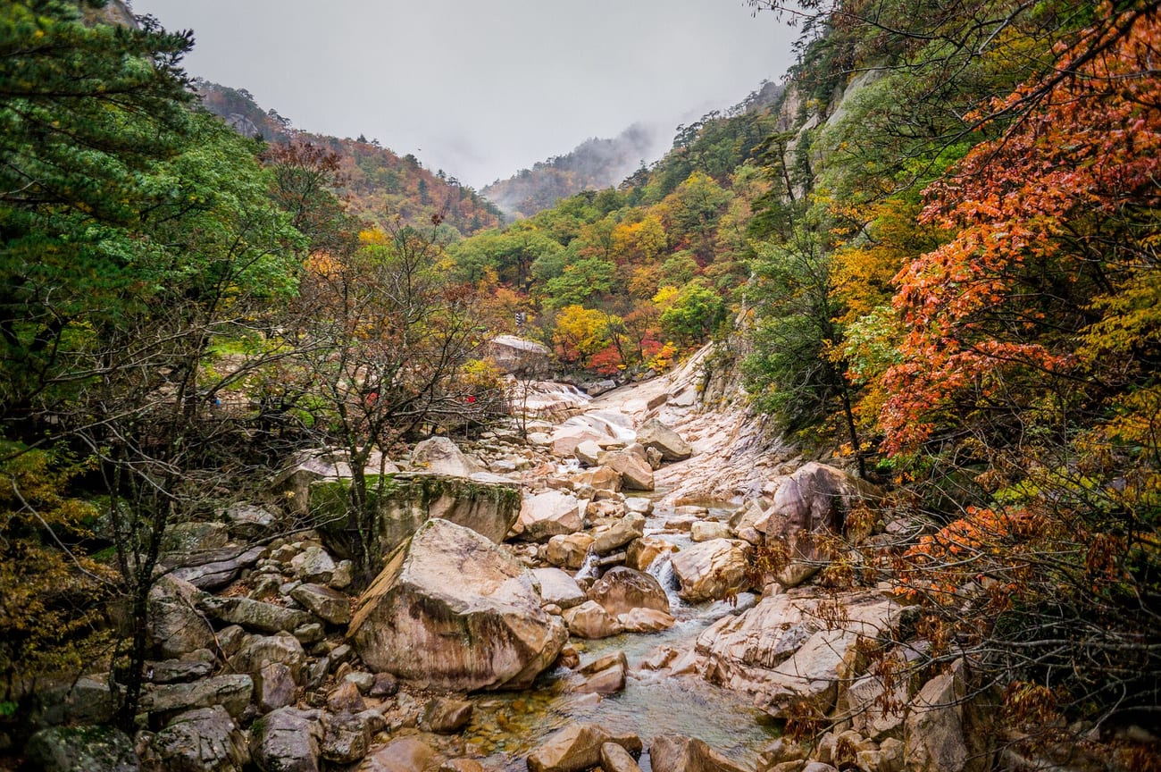 Autumn foliage on a Korean mountainside, the kind of slope that hides an abandoned village. (Eirien / CC BY 3.0)
