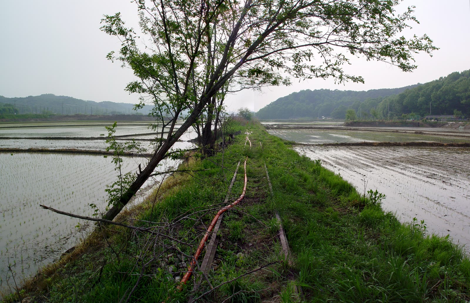 Actual rural landscape of the Hwaseong region in South Korea (Wikimedia Commons / CC BY-SA)