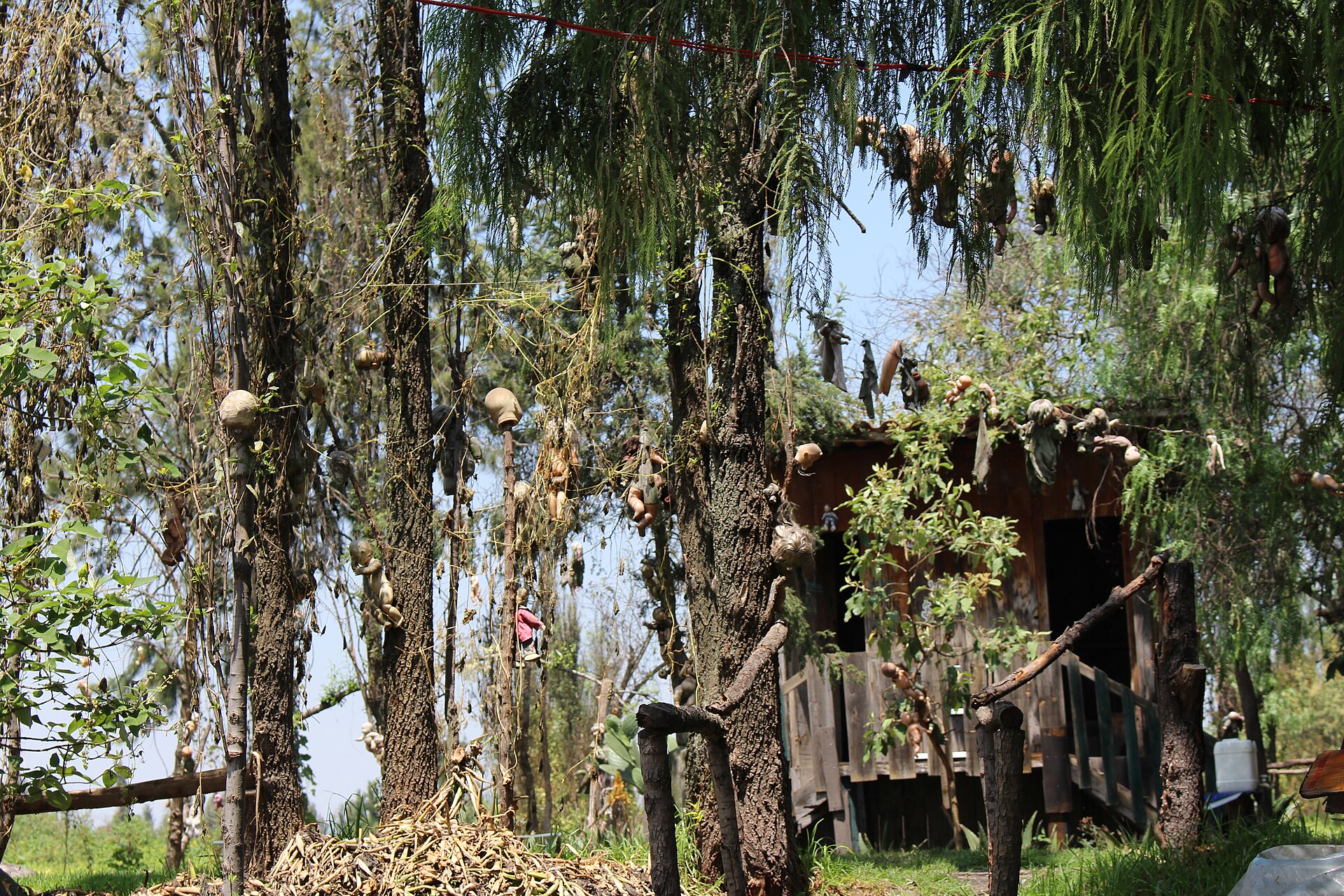 The Island of the Dolls seen from a boat approaching along the Xochimilco canals