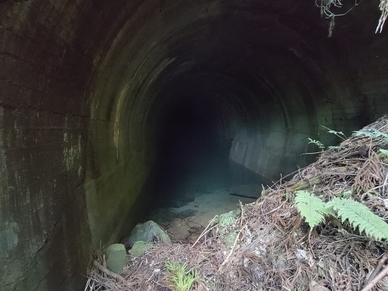 A disused tunnel on a long-closed rural line. (Taguchi Line, illustrative. History Street / CC0)