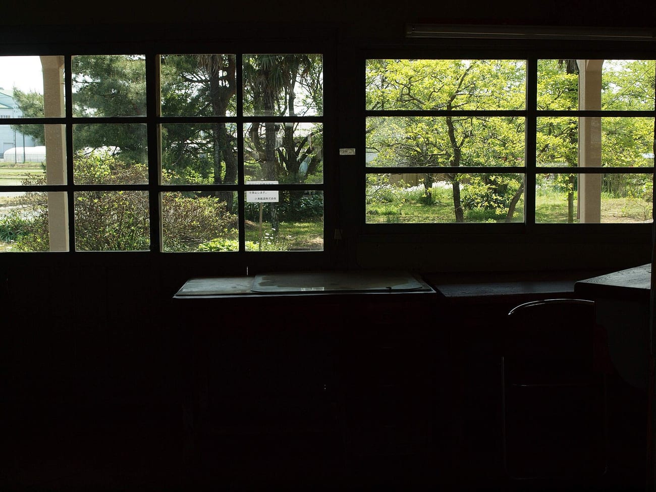 The lonely view from an unmanned rural station — no staff, no ticket gate, no one. (ESU / CC BY 3.0)
