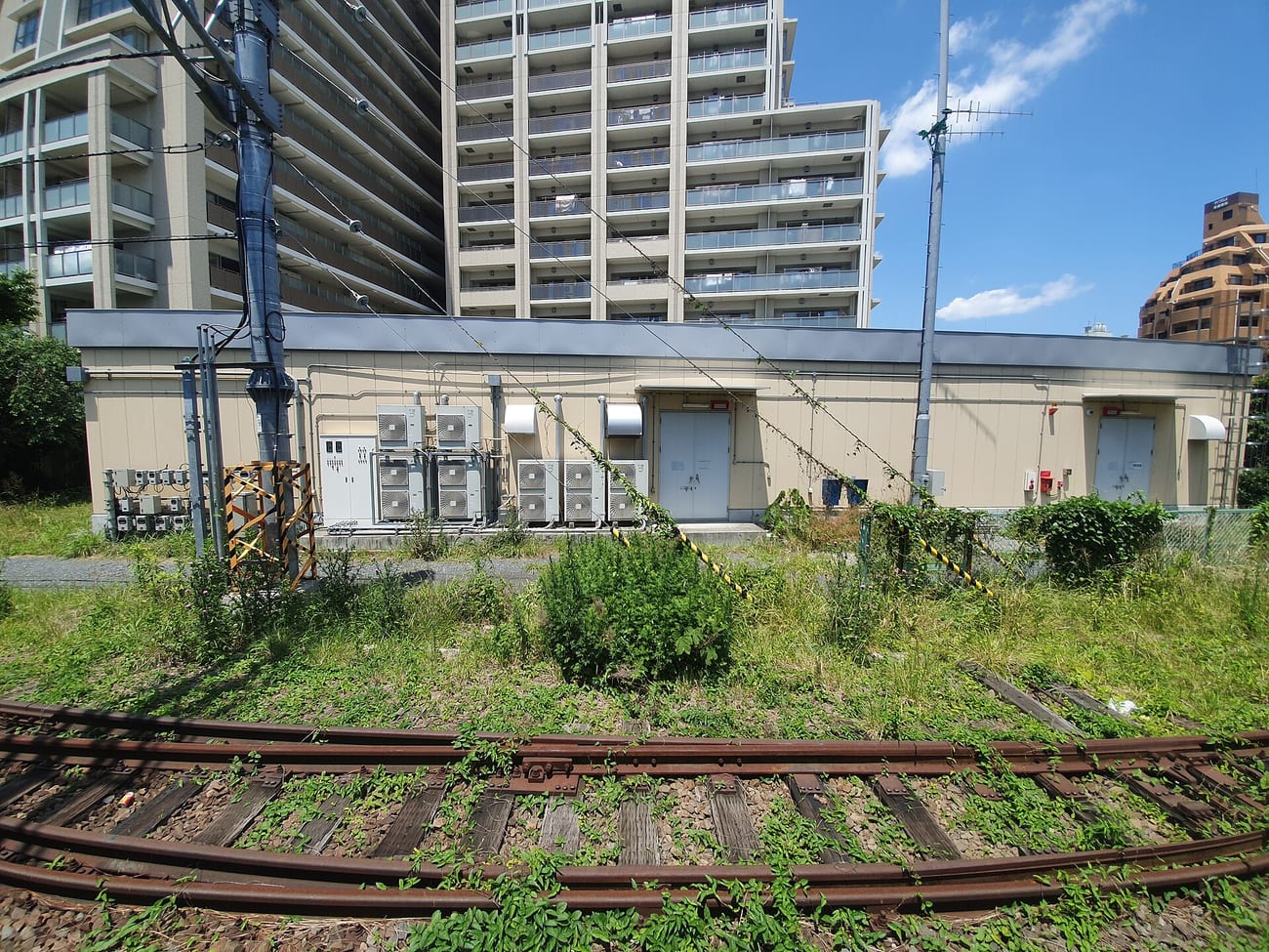 An abandoned, overgrown railway track — a line that leads nowhere anyone travels. (Syced / CC0)