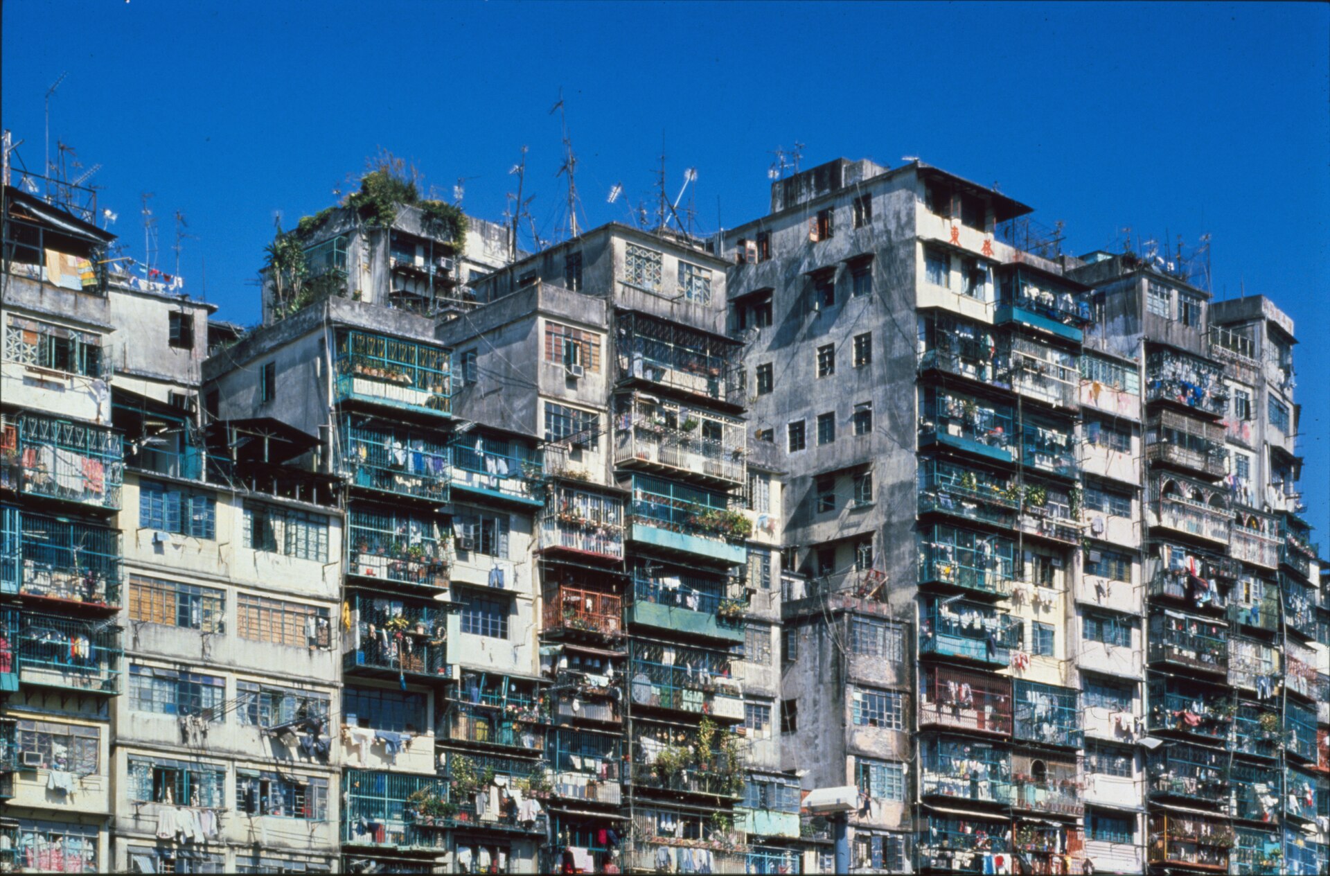 The outer face of Kowloon Walled City: balconies added floor upon floor, laundry, and a thicket of antennas. An actual photograph taken before demolition.
