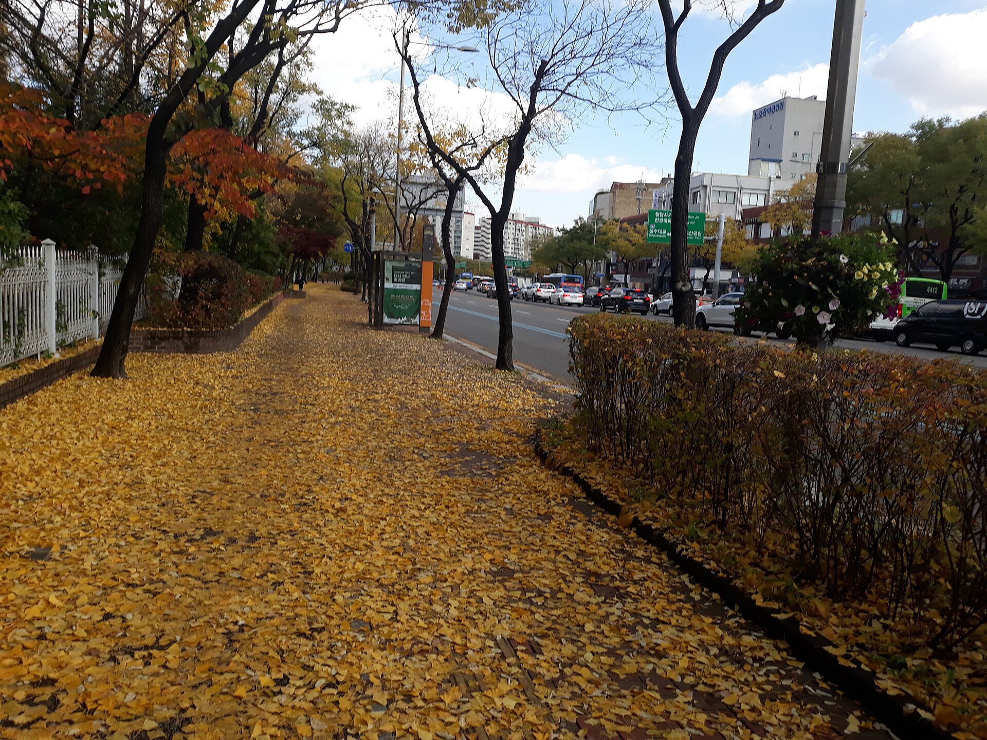 A tree-lined street leading into the residential blocks of Apgujeong today. It was in this neighbourhood, where apartment complexes meet the main road, that the boy vanished one evening.