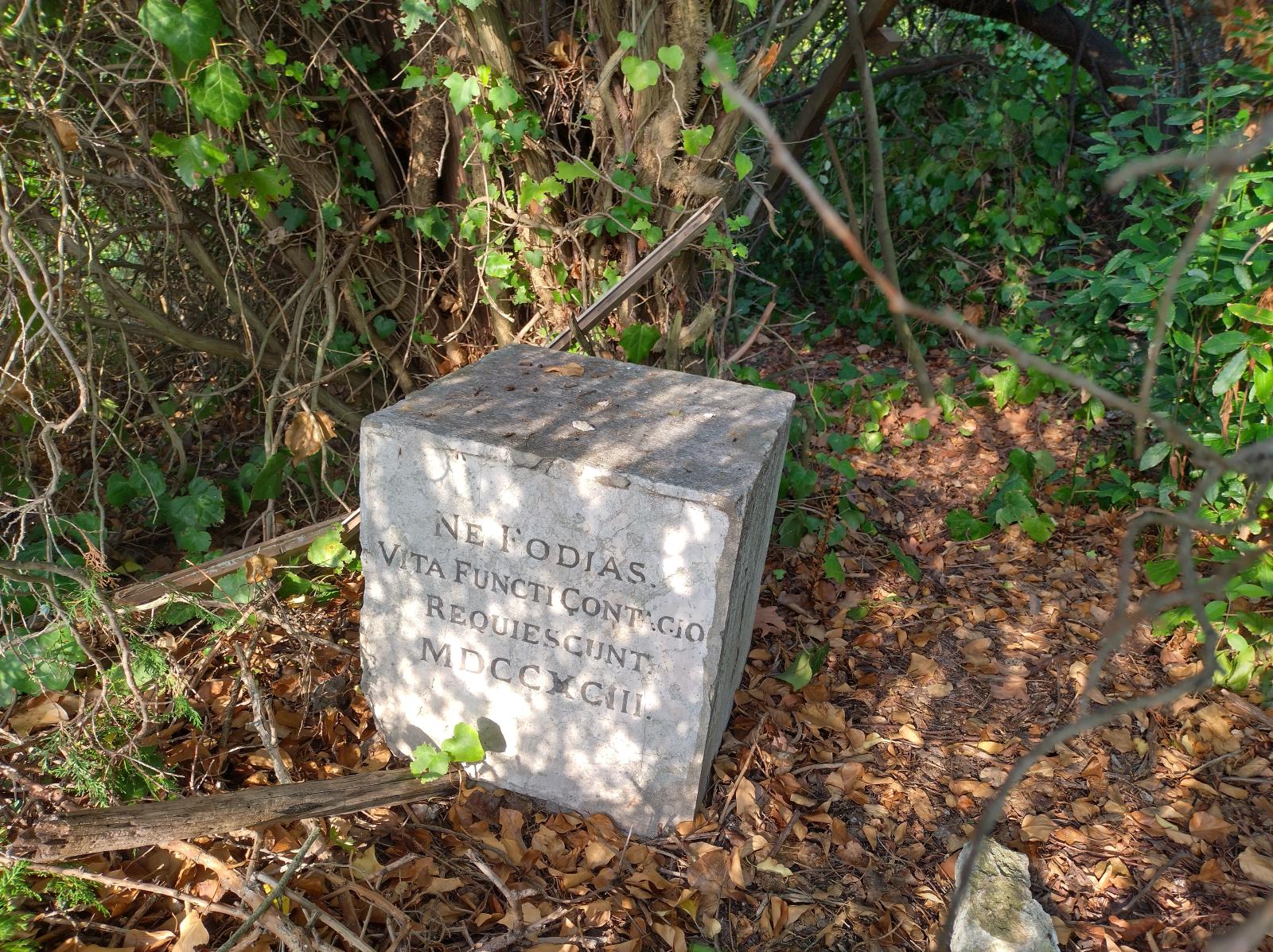 A plague inscription found on the island — physical evidence that Poveglia served as a quarantine station