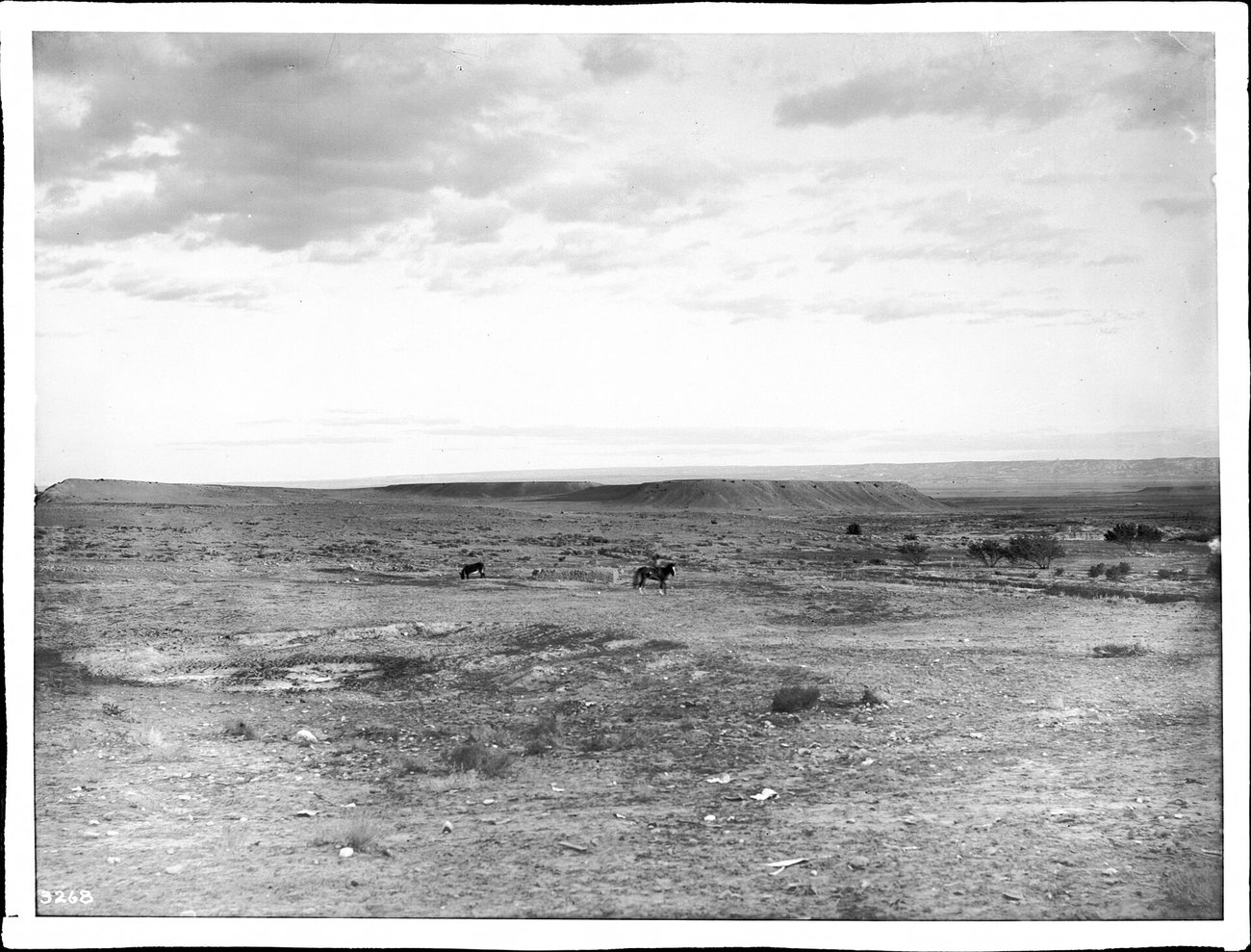 1947年夏、牧場管理人が奇妙な残骸の散らばる野原を見つけたニューメキシコの高地砂漠。 (C. C. Pierce / Public domain)