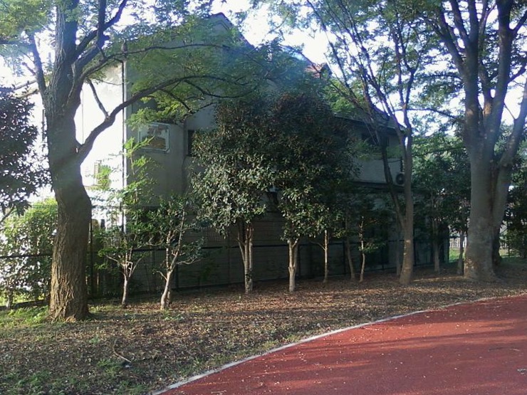 The house seen from the adjoining park land (Wikimedia Commons)