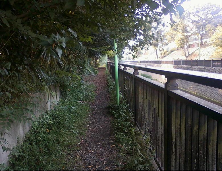 The Senkawa waterway footpath running alongside the site (Wikimedia Commons)