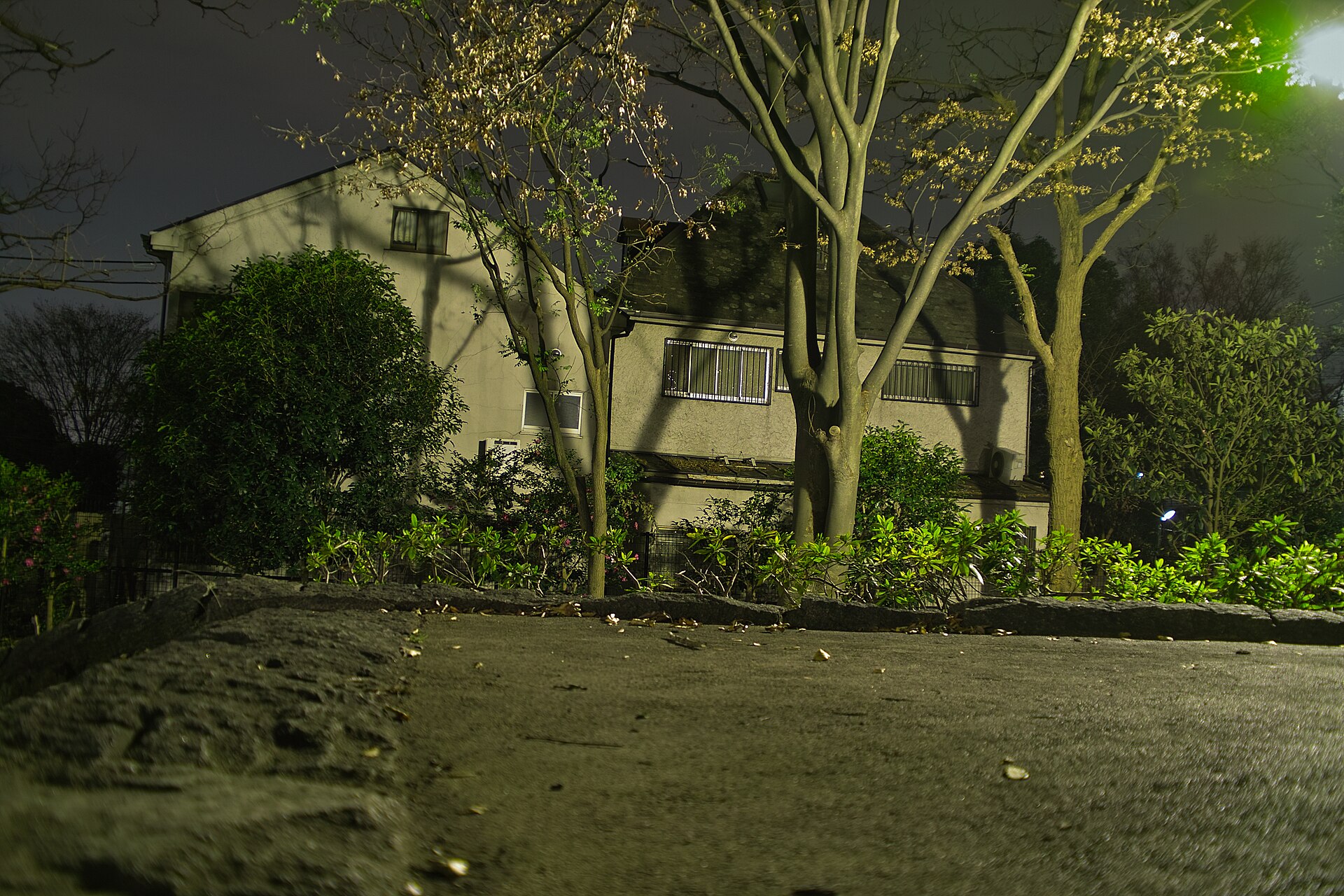 The Miyazawa family house in Soshigaya, Setagaya, at night — the scene of the murders (Wikimedia Commons / CC BY 3.0)