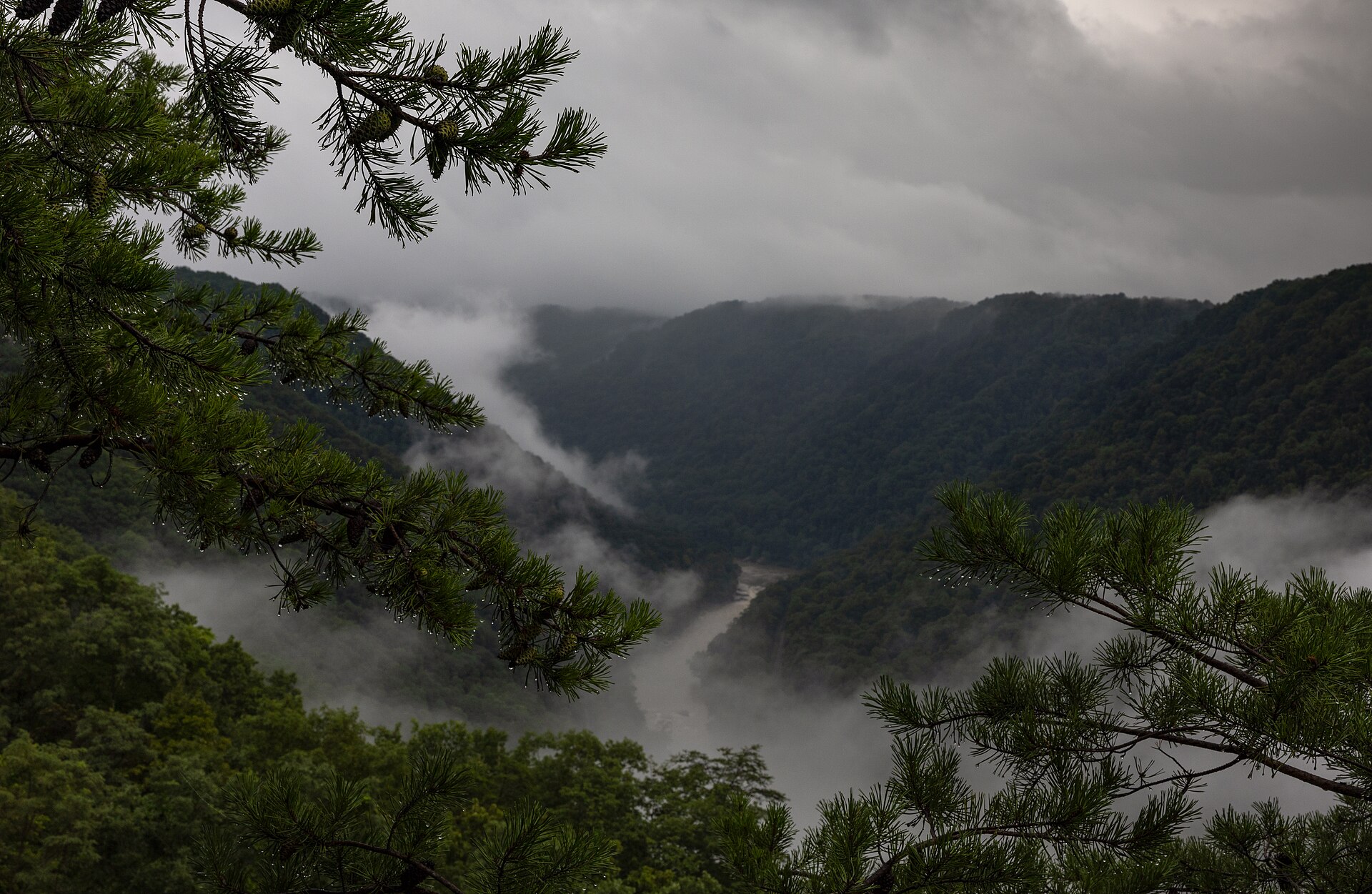 The New River Gorge near Fayetteville, West Virginia, where the case unfolded — the area as it looks today, not the Sodder property itself