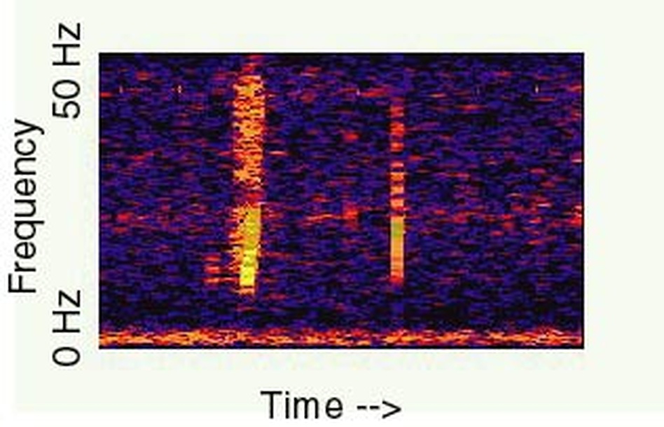 The canonical NOAA spectrogram of The Bloop recorded in 1997 — frequency from 0 to 50 Hz on the vertical axis, time on the horizontal (Source: NOAA PMEL)