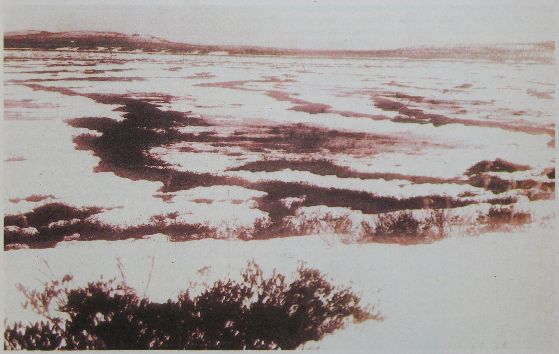 The Tunguska bogs photographed by the Kulik expedition — the marshy hollows Kulik suspected of being meteorite craters and drained to examine