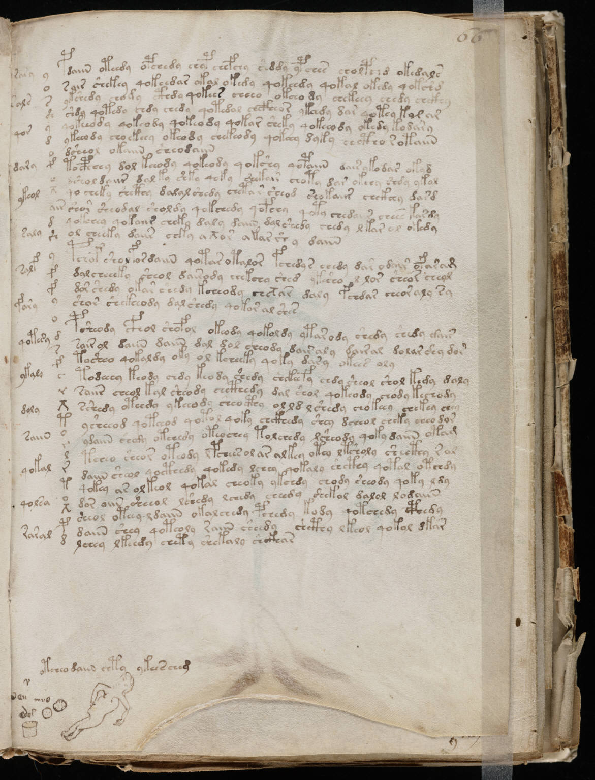 An actual page carrying nothing but the undeciphered script, line after line — the strokes barely waver